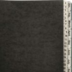 Amazon Basics Expanable Office File Sorter,Daily & Monthly File Organizer, Letter Size, Black - Image 3