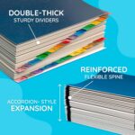 Blue Summit Expandable Monthly File Organizer, Tickler File Combo 31 Daily and 12 Monthly Tabs, Letter Size 12 Month Folder Organizer for Invoices and Documents - Image 4