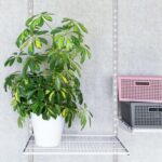 6 Pcs 36 Inch Dual Shelf Tracks Shelving System Shelf Rail Bracket Track Shelves Adjustable Wall Shelves Support for use with Kitchen Laundry Closet Organization Storage - Image 4