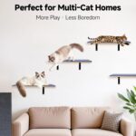 Wall-Mounted Shelves Set with 10 Wooden Boards – DIY Customizable Layout Cat Wall Playground, Modular Parkour System with Free-Combination Platforms & Sturdy Triangle Brackets - Image 4