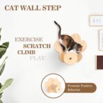Cat Wall Shelves and Perches, Wall Mounted Cat Furniture with Hammock, Bridge, Tree, Steps and Scratching Posts, Wooden Climbing System for Indoor Large Cats and Kittens - Image 3