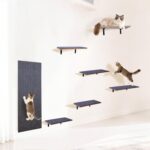 Wall-Mounted Shelves Set with 10 Wooden Boards – DIY Customizable Layout Cat Wall Playground, Modular Parkour System with Free-Combination Platforms & Sturdy Triangle Brackets - Image 2