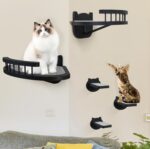 Cat Wall Shelves Furniture Set with Scratching Pad，Wooden Cat Climbing Wall Systems with 2 Perches and 3 Steps, Floating Shelves Bed Wall Mounted for Indoor Fit Up to 15Lbs (Black) - Image 4