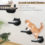 Cat Wall Shelves Furniture Set with Scratching Pad，Wooden Cat Climbing Wall Systems with 2 Perches and 3 Steps, Floating Shelves Bed Wall Mounted for Indoor Fit Up to 15Lbs (Black) - Image 8