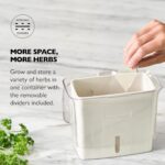 Cole & Mason Fresh Herb Keeper - Acrylic Storage Container for Refrigerator - Storage for Herbs & Vegetables for Fridge - Fresh Herb Keeper - Image 4