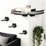 Cat Wall Shelves Furniture Set with Scratching Pad，Wooden Cat Climbing Wall Systems with 2 Perches and 3 Steps, Floating Shelves Bed Wall Mounted for Indoor Fit Up to 15Lbs (Black) - Image 2